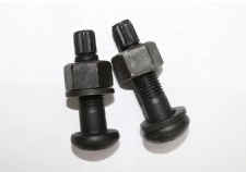 10.9 grade Torsional shear bolt